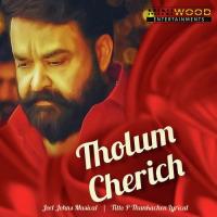 Tholum Cherich Achilles TM,Anuj Chandrasekharan,Goutham Vincent,Joel Johns Song Download Mp3