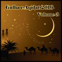 Gulha-e-Aqidat 2016, Vol. 3 songs mp3