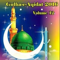 Gulha-e-Aqidat 2016, Vol. 12 songs mp3