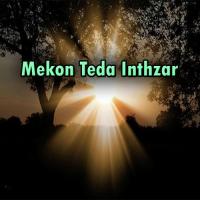 Mekon Teda Inthzar songs mp3