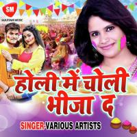 Holi Me Choliya Bhija Da songs mp3