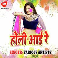 Holi Aai Re songs mp3