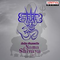 Nama Shivaya songs mp3