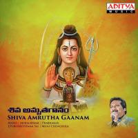 Kadalindi Kailasam (Shiva Thandavam) Mano Song Download Mp3