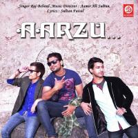Aarzu Raj Belwal Song Download Mp3