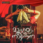 Kalyanam Kalyanam Ajo Joseph Song Download Mp3