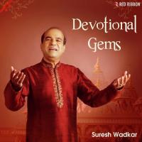 Devotional Gems By Suresh Wadkar songs mp3