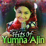 Hits Of Yumna Ajin songs mp3