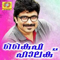Sundhari Poove Bappu Velliparamba Song Download Mp3