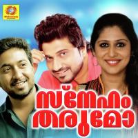 Ragamam Anwer Sadath Song Download Mp3