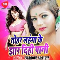 Tohar Lahanga Ke Jhar Dihi Pani songs mp3