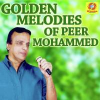 Golden Melodies of Peer Mohammed songs mp3