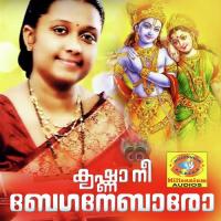 Krishna Nee Beganebaaro songs mp3