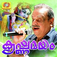 Krishnamayam songs mp3