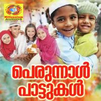 Shawal Nilavinde Adil Athu Song Download Mp3