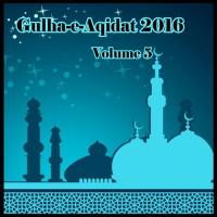 Gulha-e-Aqidat 2016, Vol. 5 songs mp3