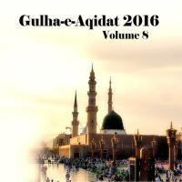 Gulha-e-Aqidat 2016, Vol. 8 songs mp3