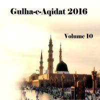 Gulha-e-Aqidat 2016, Vol. 10 songs mp3