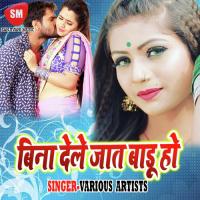 Bina Dele Ja Taru Ho songs mp3