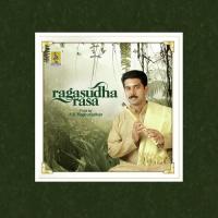 Ragasudharasa A.K. Raghunadhan Song Download Mp3