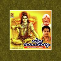 Om Namasivaya Madhu Balakrishnan Song Download Mp3