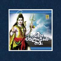 Om Parabrahmamoorthiye Namah songs mp3