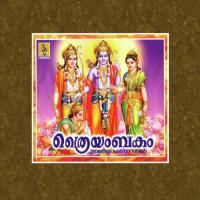 Sree Ramane Saranam Madhu Balakrishnan Song Download Mp3