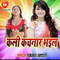 Kali Kachnar Bhail songs mp3