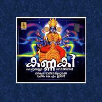 Meena Bharani Ajeesh Kottayam Song Download Mp3