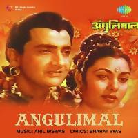Bade Aaye Shikari Shikar Manna Dey,Asha Bhosle Song Download Mp3