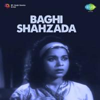 Baghi Shahzada songs mp3