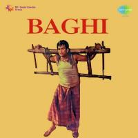 Baghi songs mp3