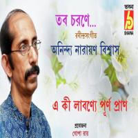 Tabo Charone Anindya Narayan Biswas Song Download Mp3