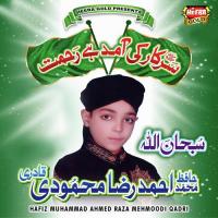 Saye Main Tumhare Hafiz Muhammad Ahmed Raza Mehmoodi Qadri Song Download Mp3