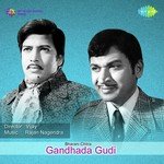 Gandhada Gudi songs mp3