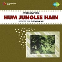 Hum Junglee Hain songs mp3