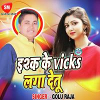 Ishq Ke Vicks Laga Detu songs mp3