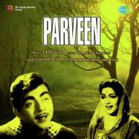 Parveen songs mp3