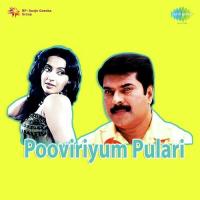 Kandu Ninne Sundari P. Jayachandran,Vani Jairam Song Download Mp3