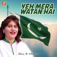 Yeh Mera Watan Hai Zill E Huma Song Download Mp3