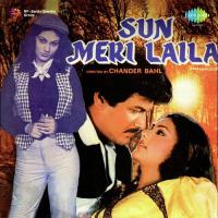 Tere Bina Laila Kaise Jiyega Shailender Singh,Usha Mangeshkar Song Download Mp3