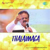 Adi Chinna Papa S. P. Balasubrahmanyam Song Download Mp3