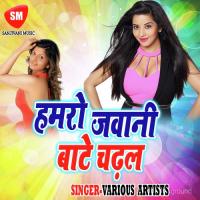 Hamro Jawani Bate Chadhal Harishanker Song Download Mp3