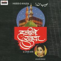 Habib-E-Khuda Anjum Bano Song Download Mp3