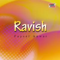Samaja Faysal Anwar Song Download Mp3