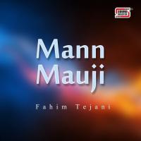 Tanha Fahim Tejani Song Download Mp3