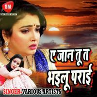 A Jaan Tu Ta Bhailu Parai Pawan Raja Song Download Mp3