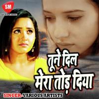 Ayi Dil Ruba Tere Pyar Me Purnima Singh Song Download Mp3