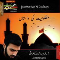 Hai Teri Wafaaon Ki Ali Raza Surani Song Download Mp3