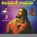 Theliyaka Vaaru Siluva Vesaru S. P. Balasubrahmanyam Song Download Mp3